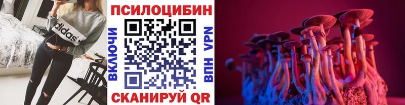 как найти закладки  Спас-Клепики  Галлюциногенные грибы мицелий 